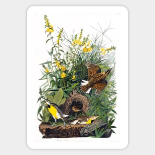 Meadow Lark from Birds of America (1827) Sticker